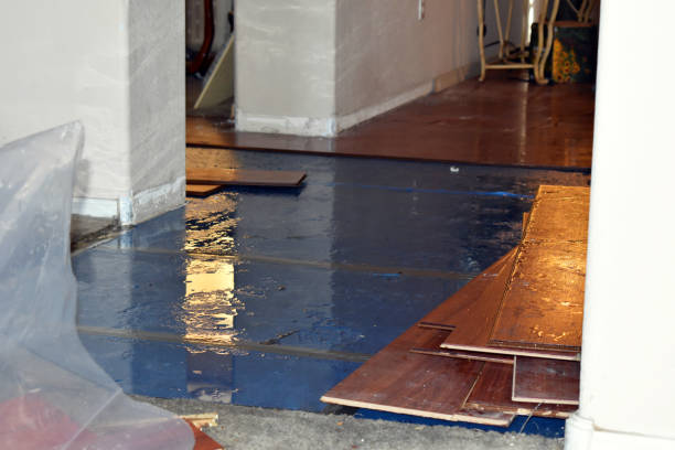 Professional Water Damage Restoration technician working in Westhoff, TX